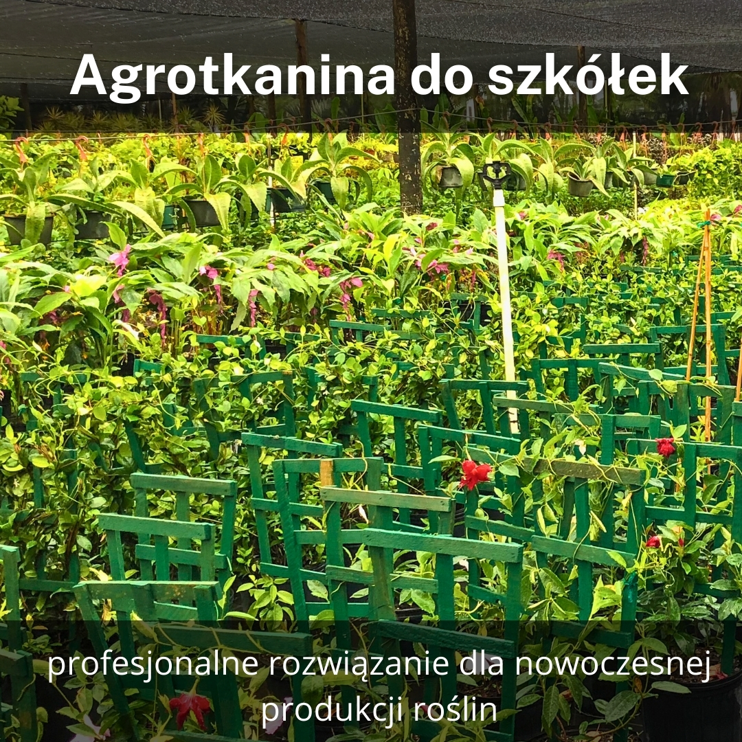 Agrotkanina szkółkarska to profesjonalne rozwiązanie dla nowoczesnej produkcji roślin