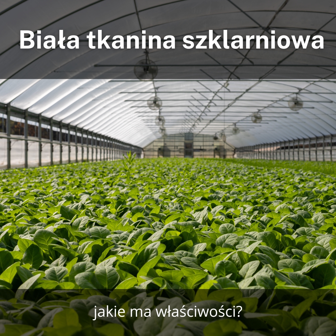 Biała tkanina szklarniowa – jakie ma właściwości?